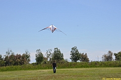 Venice kite festival_0114